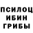 Галлюциногенные грибы Psilocybe TalikXD