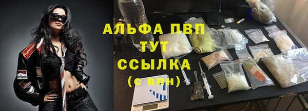 СК Магадан