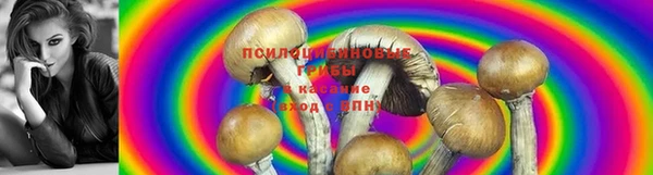 spice Майский