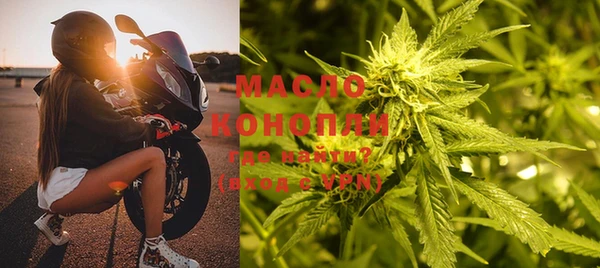 стаф Магас
