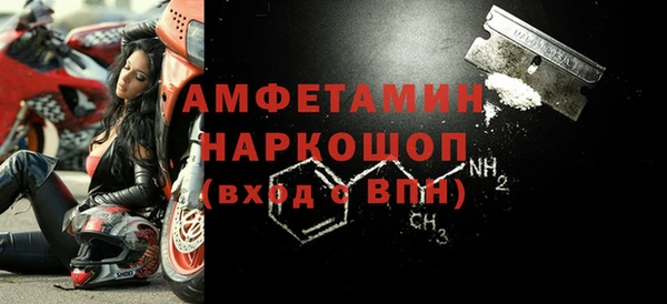 стаф Магас
