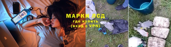 стаф Магас