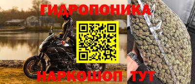 spice Дубна